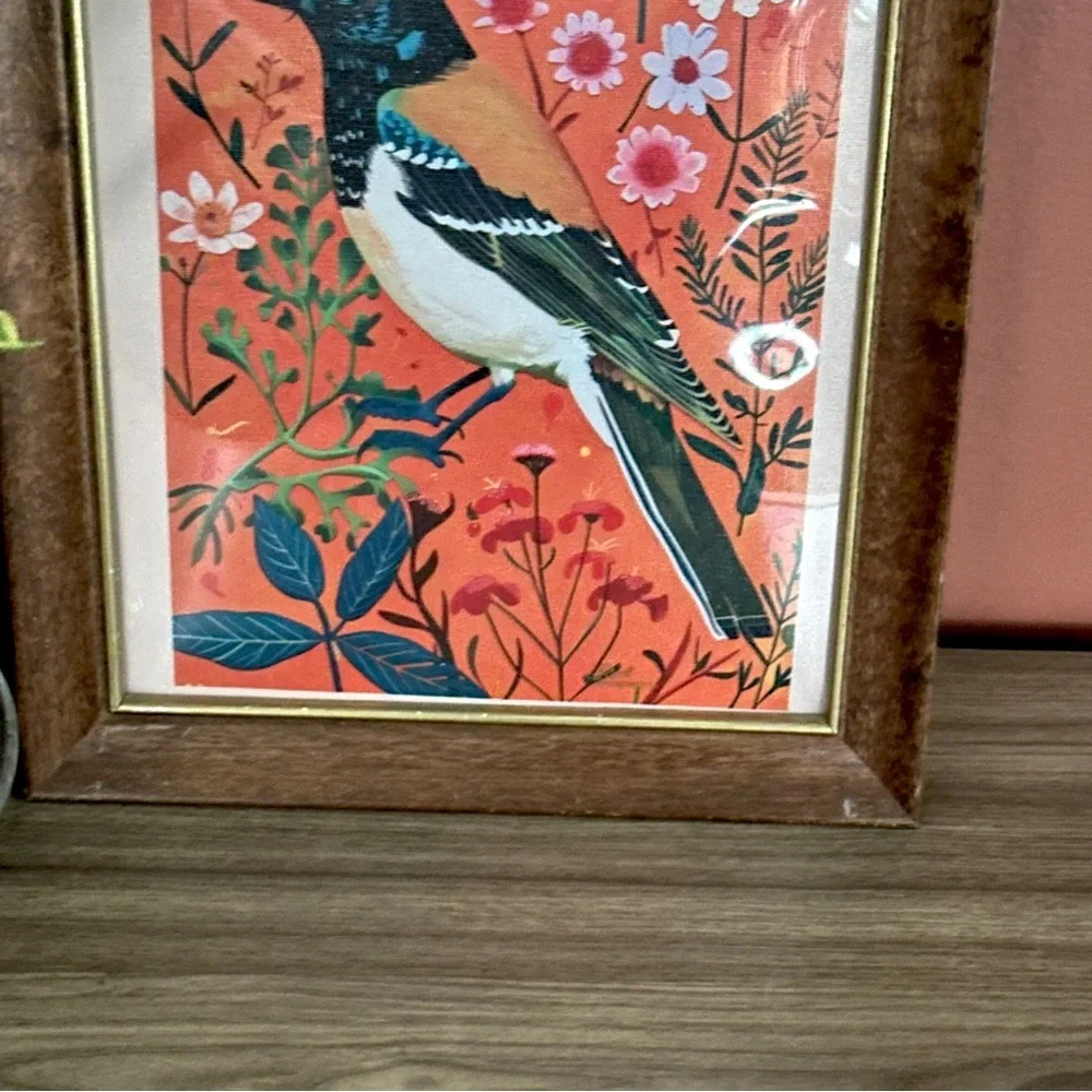 N/A bright magpie