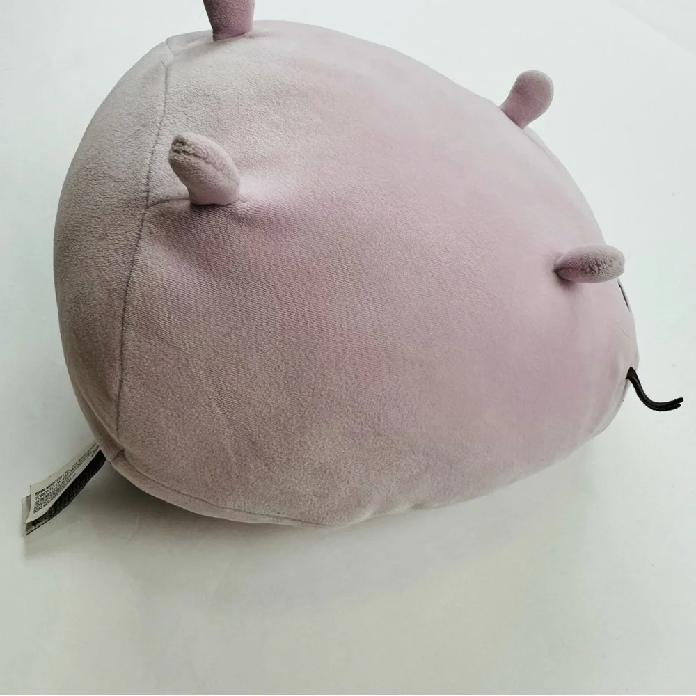 Pusheen animal aurora