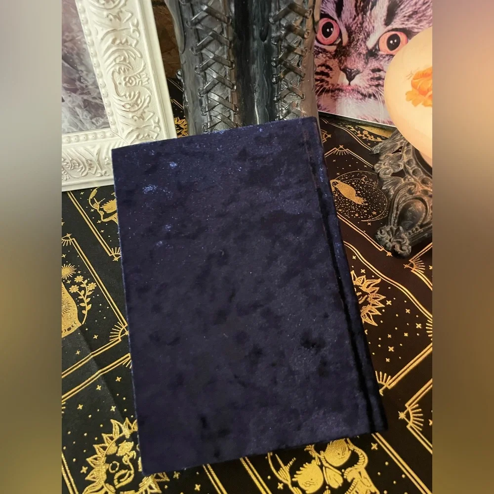 NWOT ECCOLO Blue Velvet Covered DREAMS Journal
