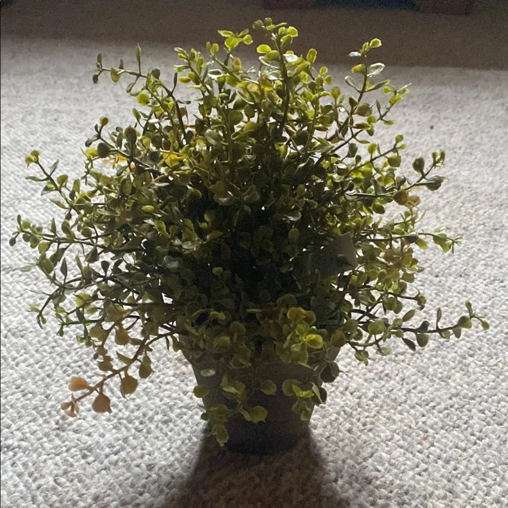 Artificial Eucalyptus Greenery Plant in Gray Pot