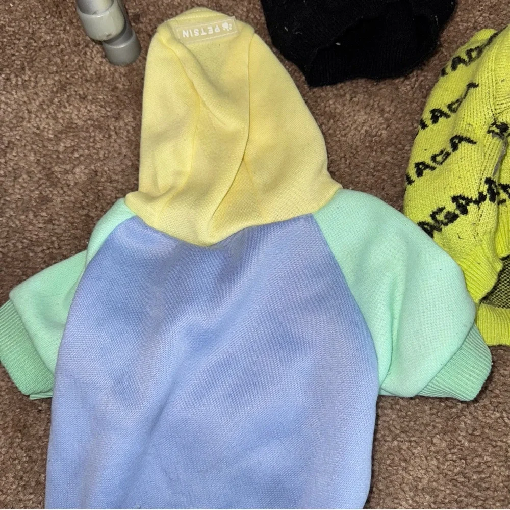 Colorful Dog or cat Sweater Set