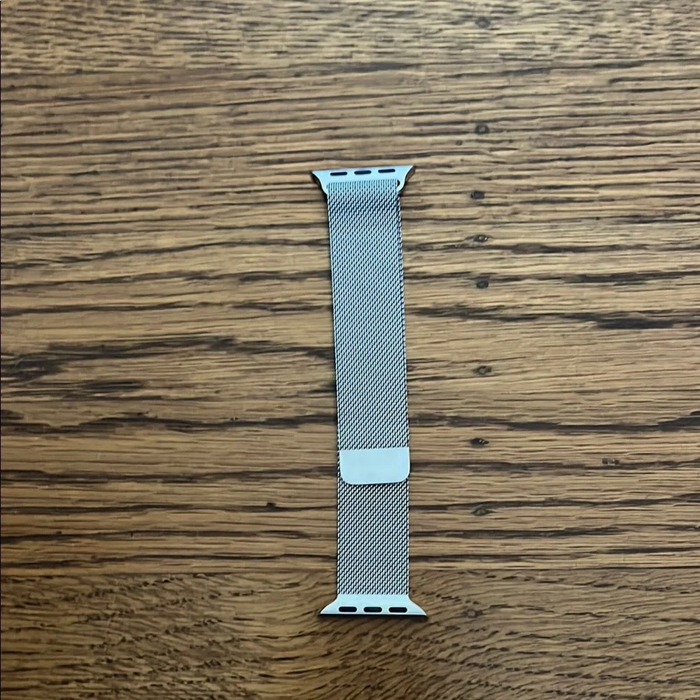 Silver Mesh Apple Watch Band