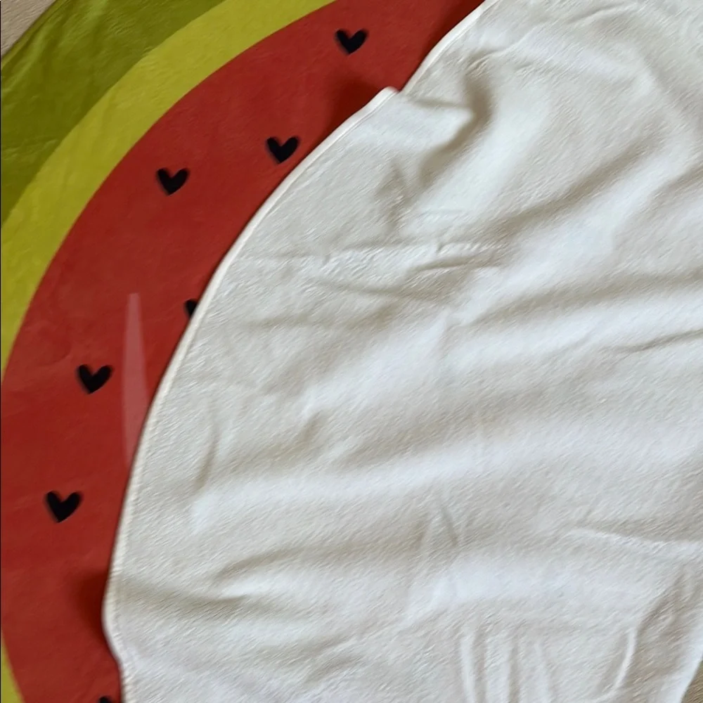aerie large watermelon