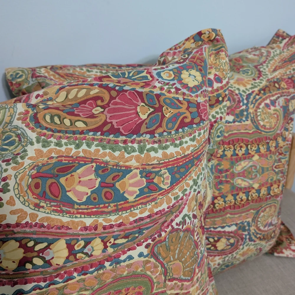 Pottery Barn Rosalie Paisley Square Pillow Shams