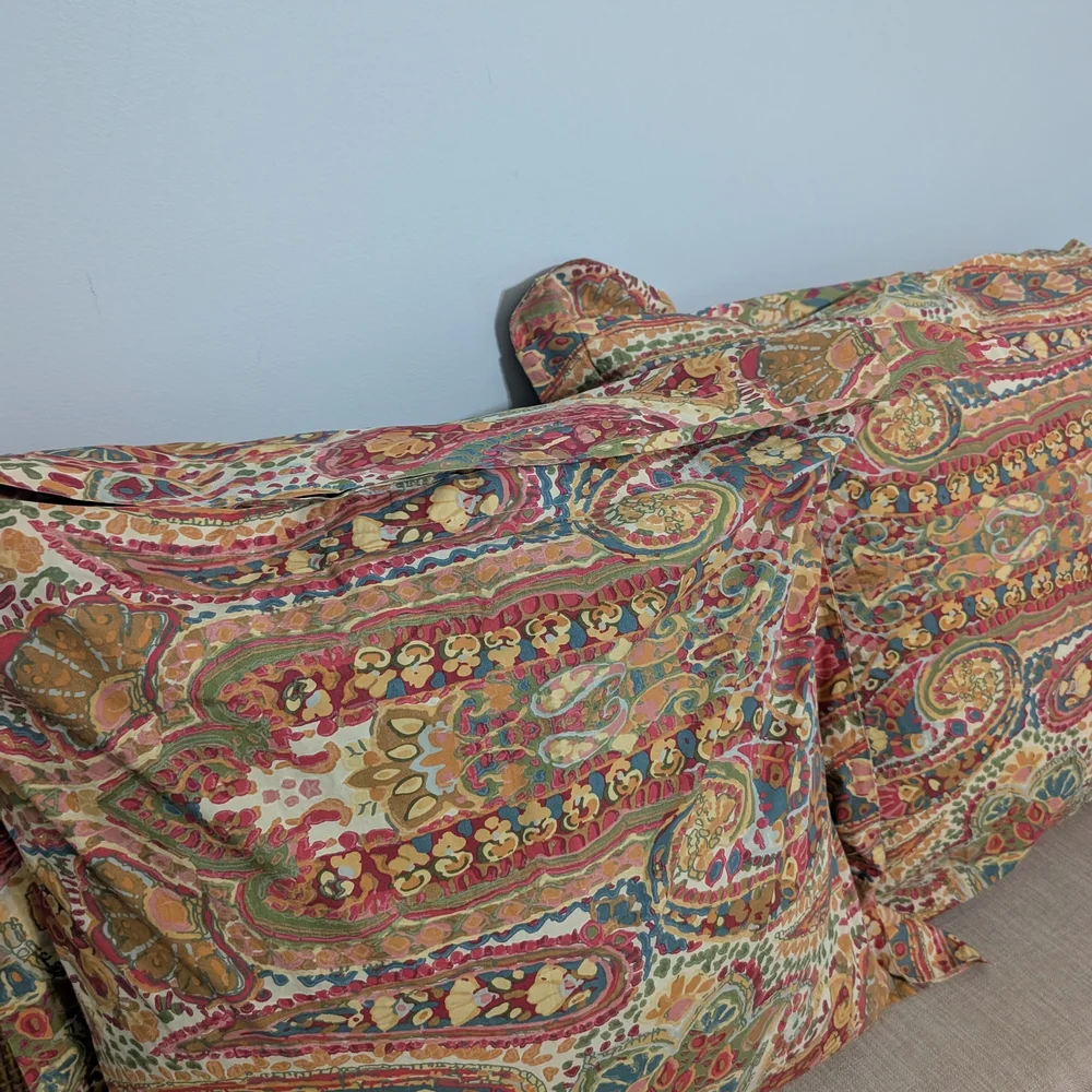 Pottery Barn Rosalie Paisley Square Pillow Shams