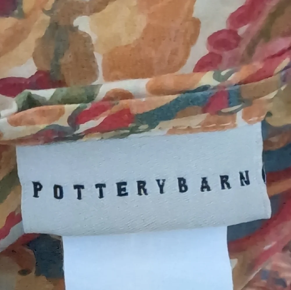 Pottery Barn Rosalie Paisley Square Pillow Shams