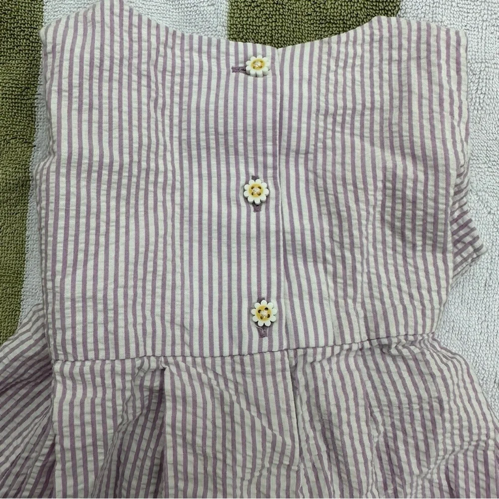 Gymboree Daisy Seersucker Dress