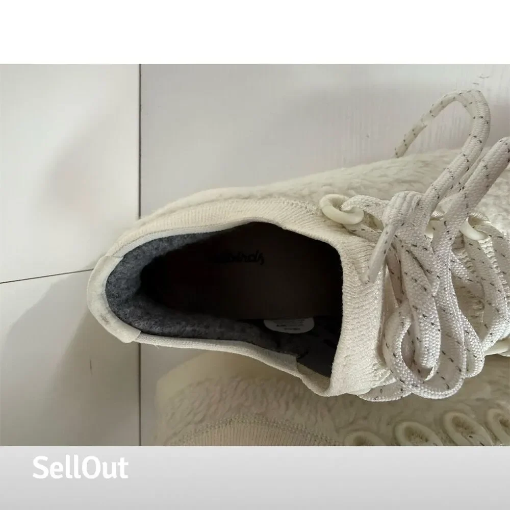 allbirds pre brand business