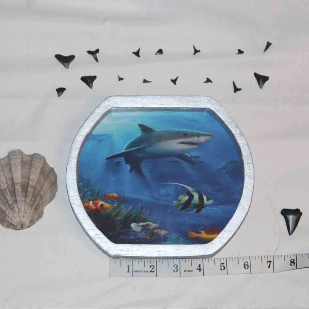 Oceanic Scene Shark teeth holders or piggy banks.