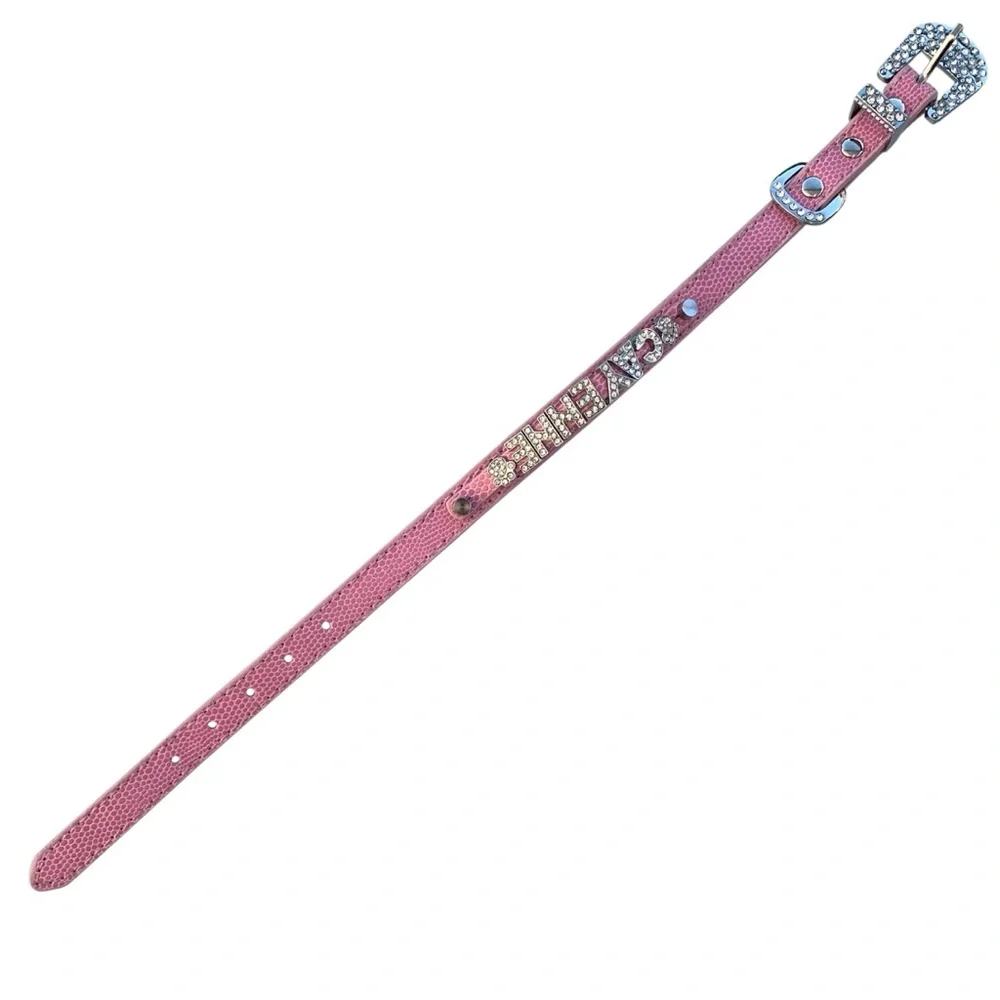 Personalized CAYENNE Pink Dog Collar with Rhinestone Letters and Buckle ~ Small
