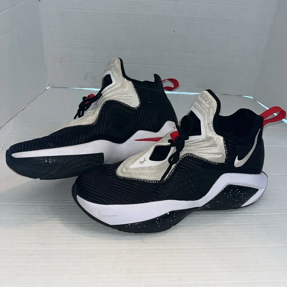 Nike 10 lebron