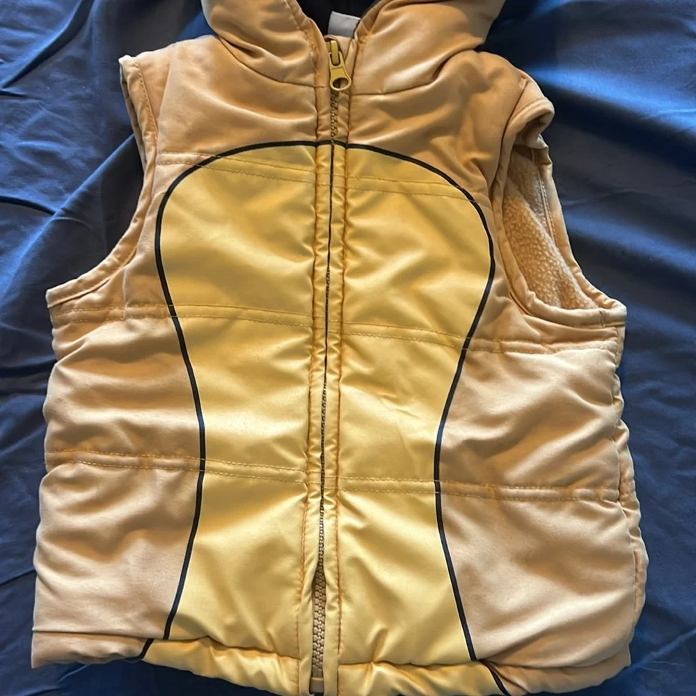 Disney Lion King Fleece Lined Hooded Vest Costume Toddler Size 2T Warm Outerwear