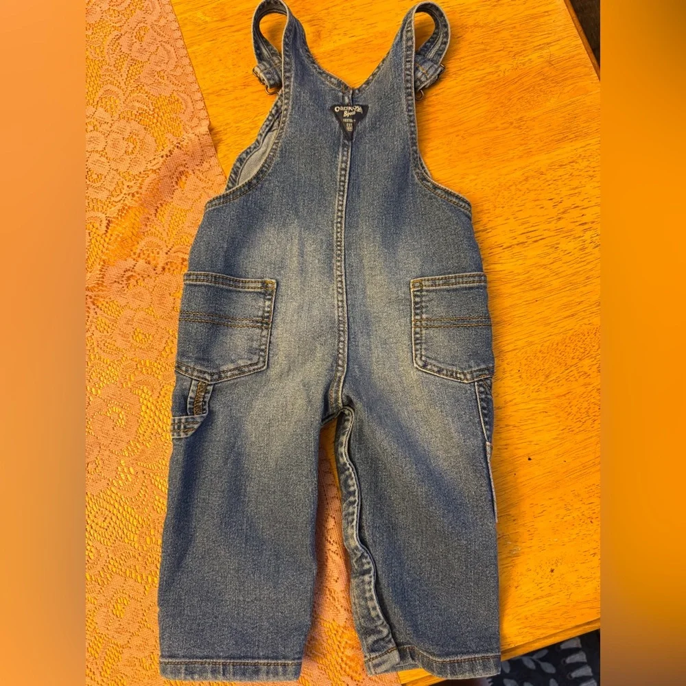 OshKosh Bgosh charming blue