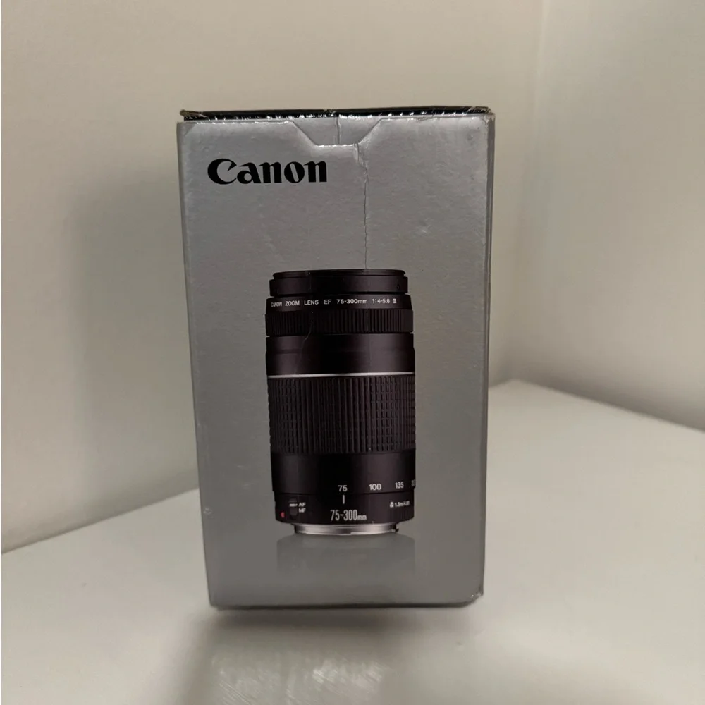 Canon EOS Rebel t6 Camera Set with Extra Lens (Ef 75-300mm)