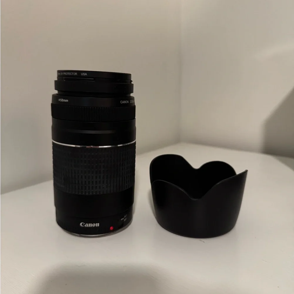 Canon EOS Rebel t6 Camera Set with Extra Lens (Ef 75-300mm)