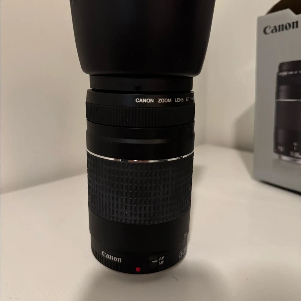 Canon EOS Rebel t6 Camera Set with Extra Lens (Ef 75-300mm)