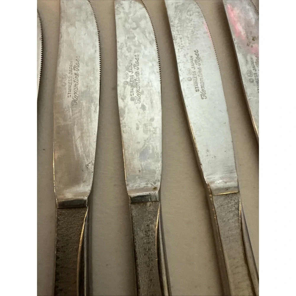 Stanley Roberts Florentine Rose Stainless Steel 11 Butter Knives