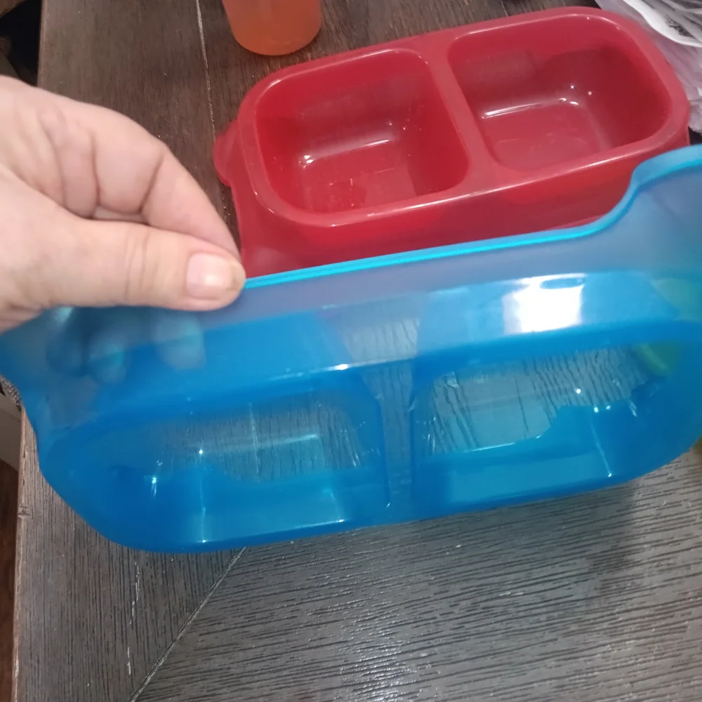 Set of Colorful Pet Feeding Bowls
