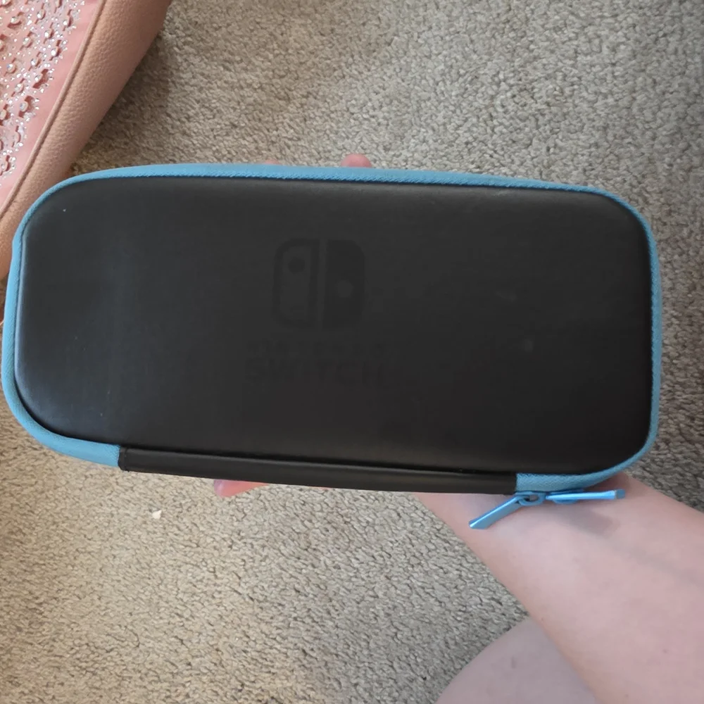 Nintendo Switch Black and Blue Carrying Case