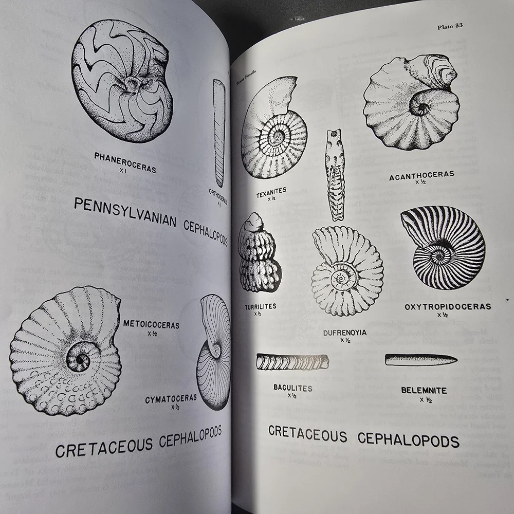 Texas Fossils amateur Collectors Handbook Guidebook 2 by William Matthews
