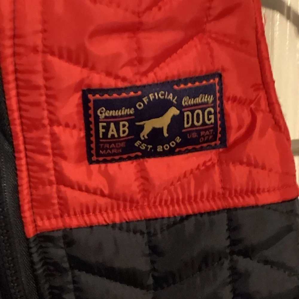 Fab Dog fab dog