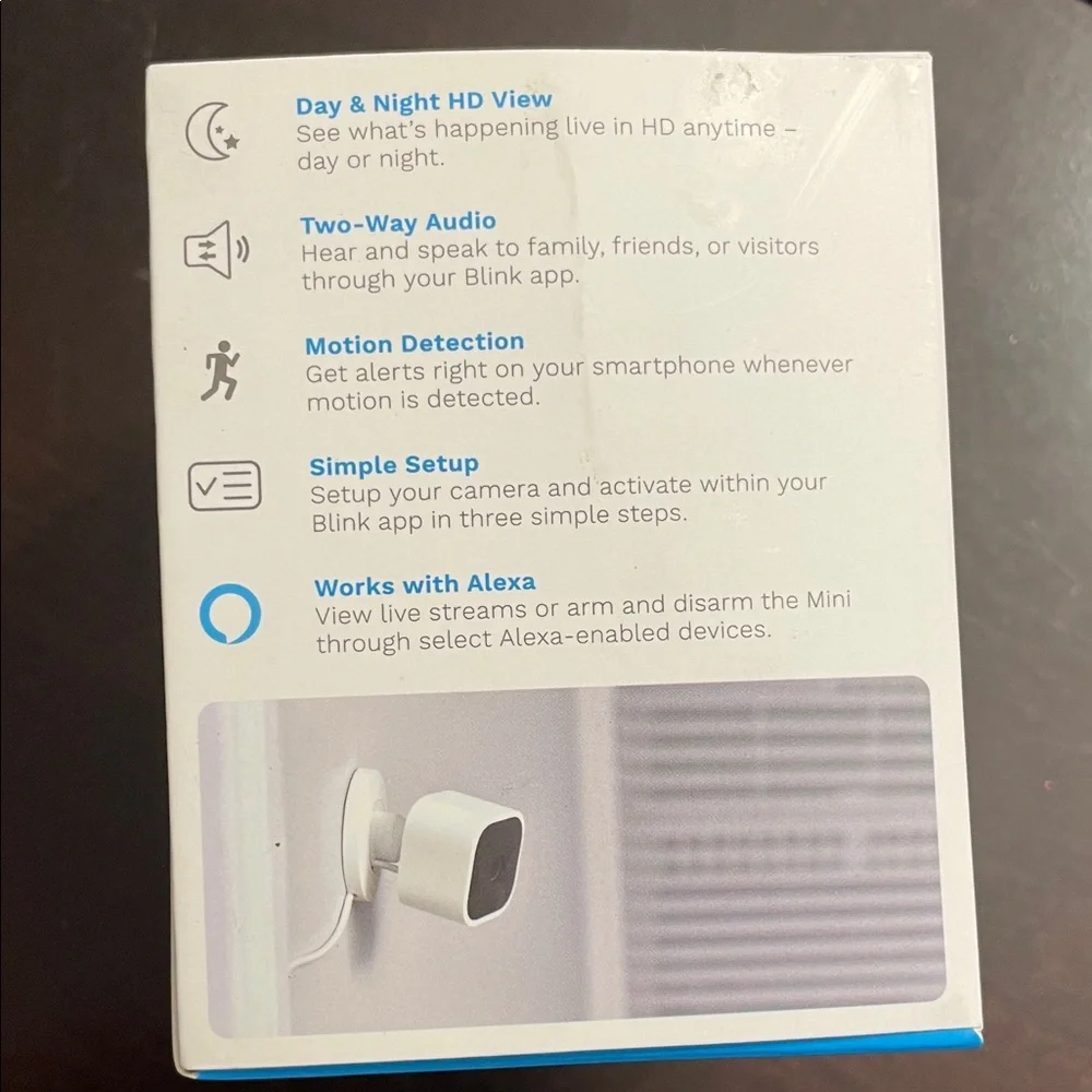 Blink mini indoor