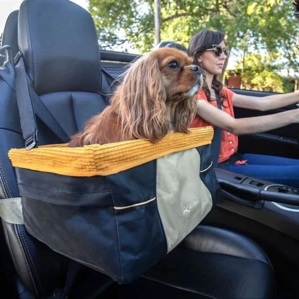 PetSafe travel safely