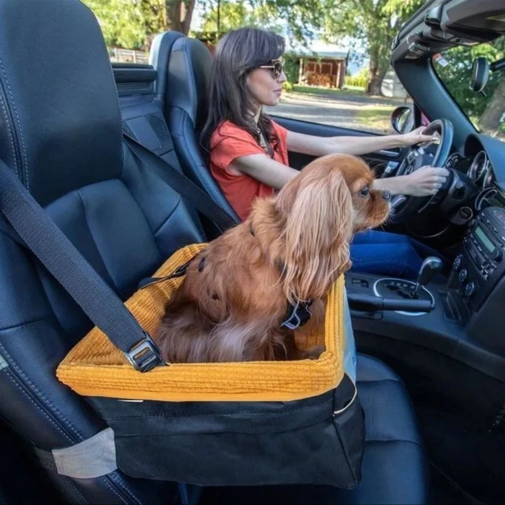 PetSafe travel safely