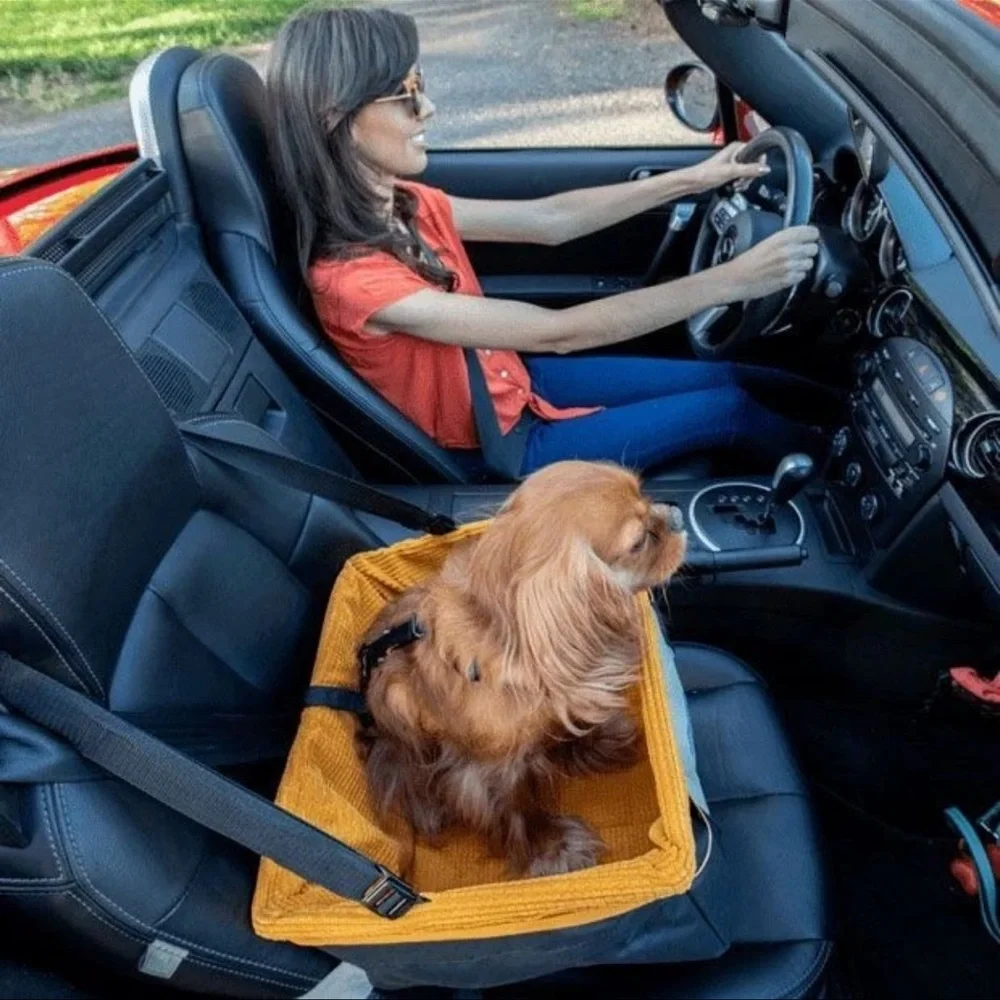 PetSafe travel safely