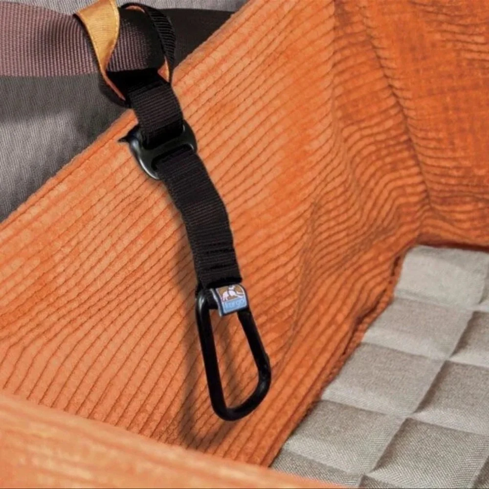PetSafe travel safely