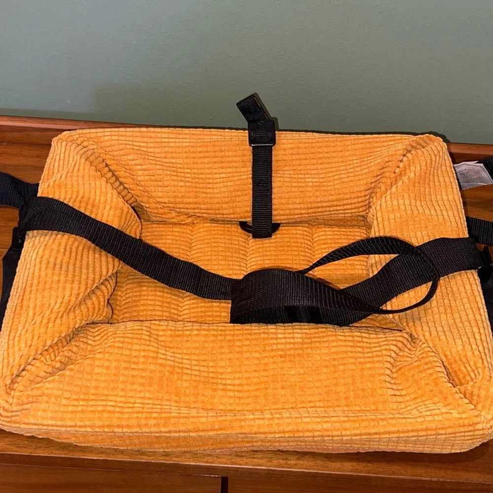 PetSafe travel safely