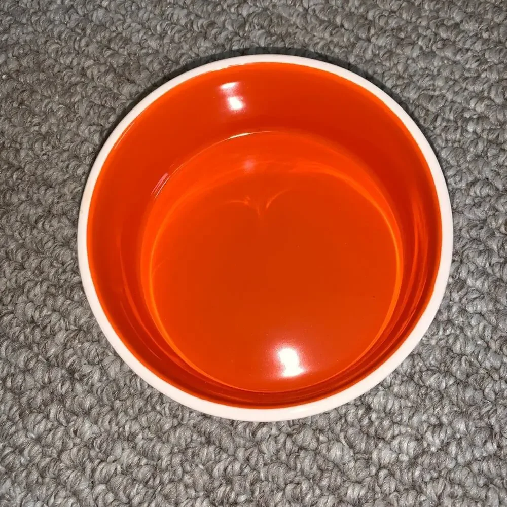 NEW Rae Dunn BOO ceramic pet bowl