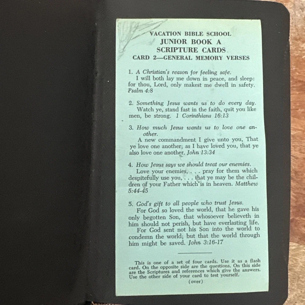 Vintage Holy Bible Illustrated KJV  Zipper World Publishing Ephemera 1930s
