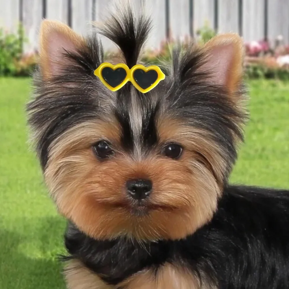 4 Heart Shaped Hair Clips for Small Pet