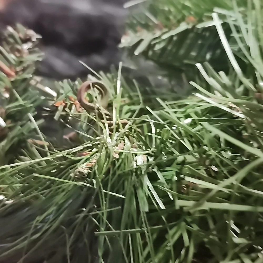 VINTAGE Christmas Decorations enhance your