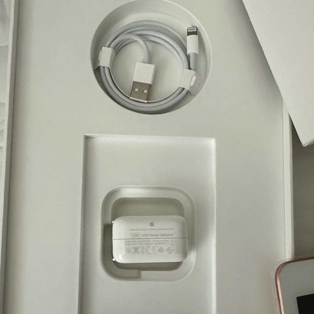 Apple instructions charger