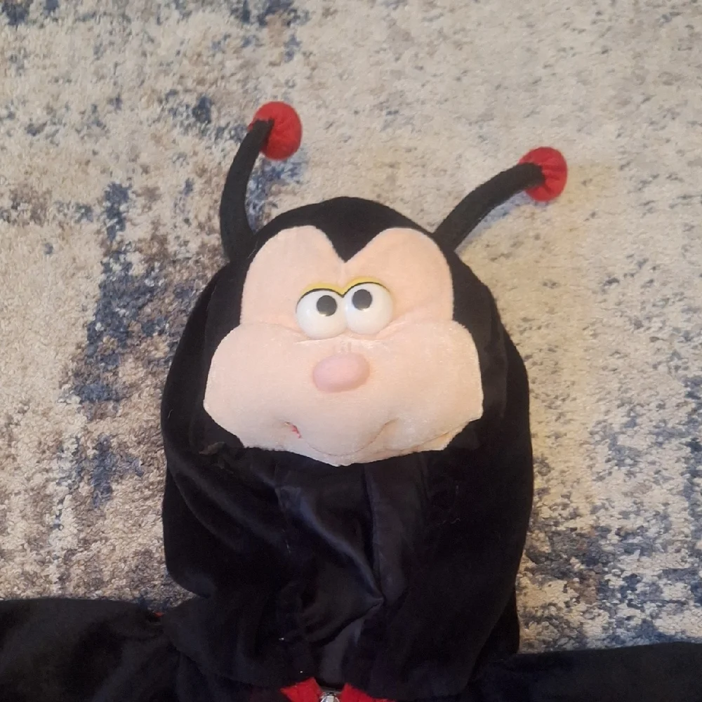 Making Believe adorable ladybug