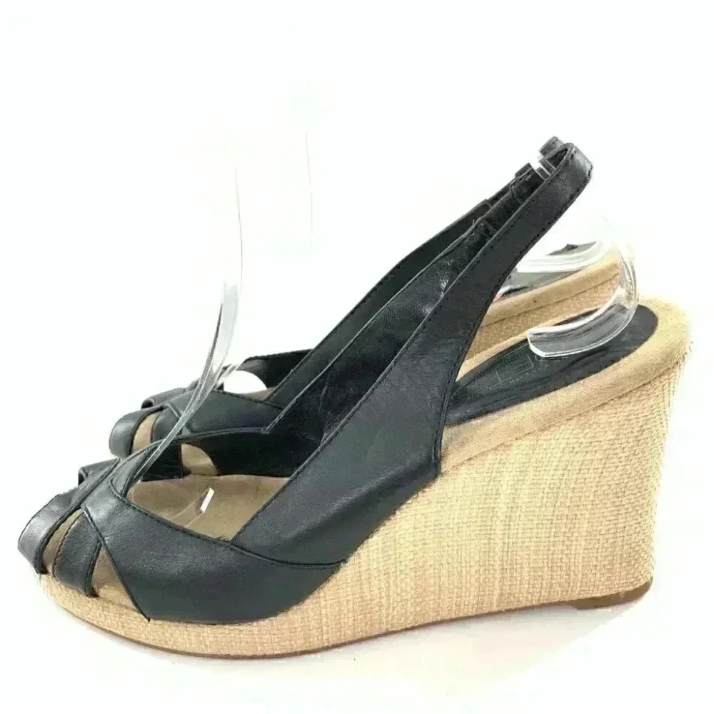 ann taylor