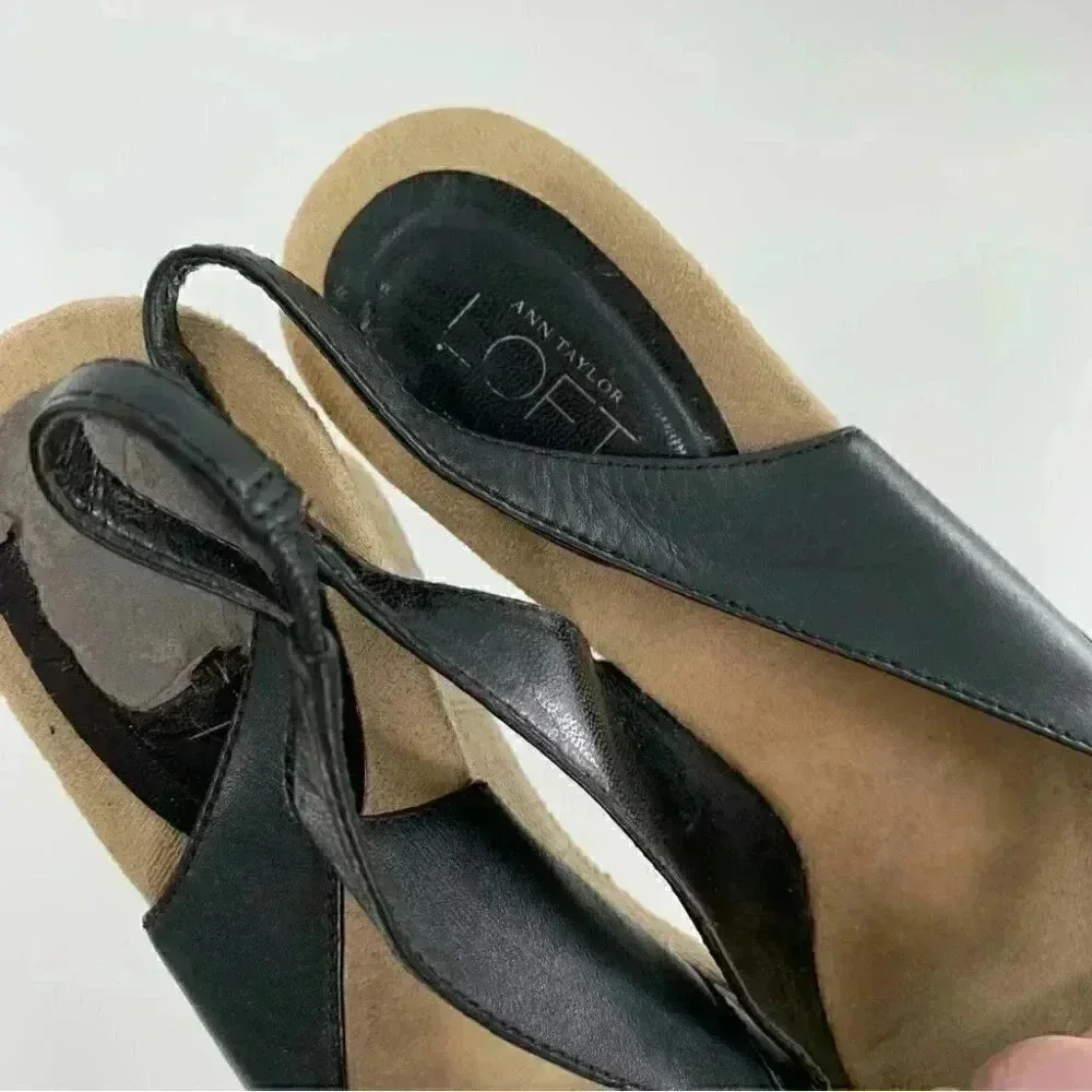 ann taylor