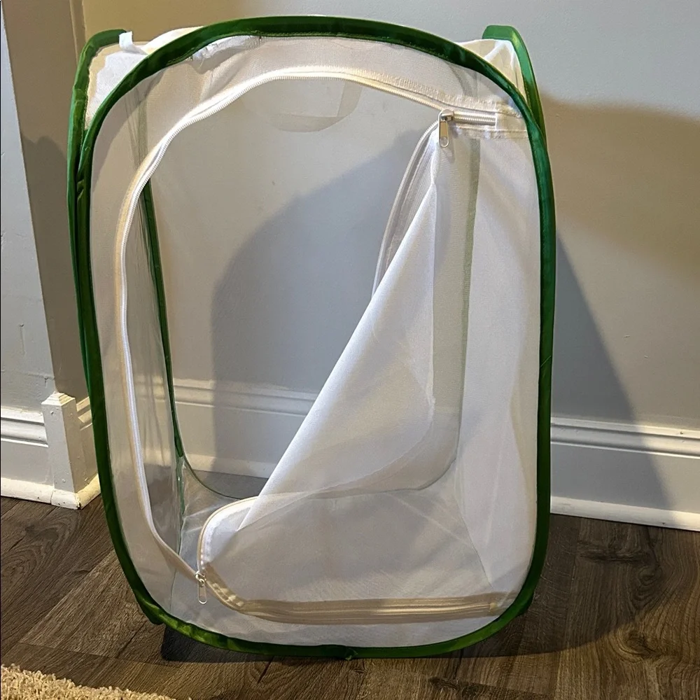 Foldable Green and White butterfly home