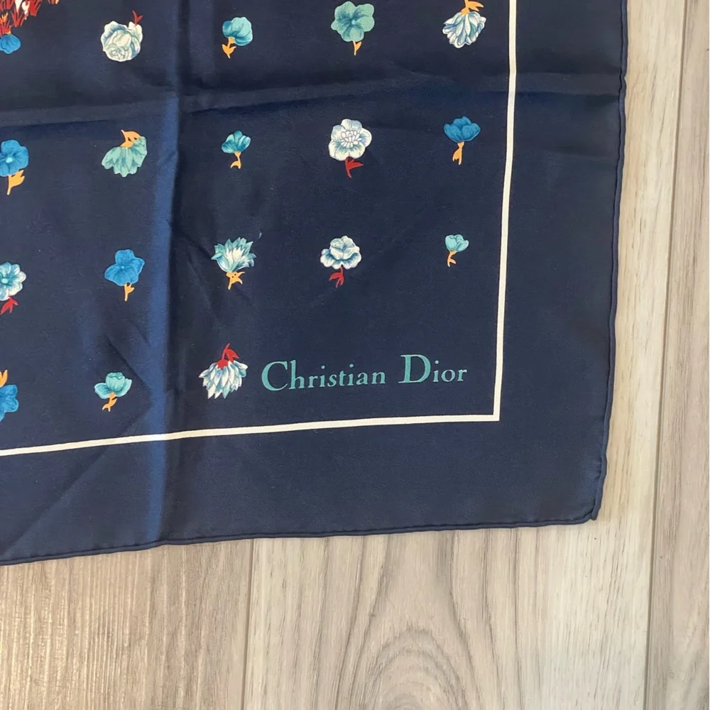 Dior size outfit blue