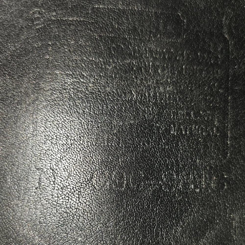 Coach sleek vintages