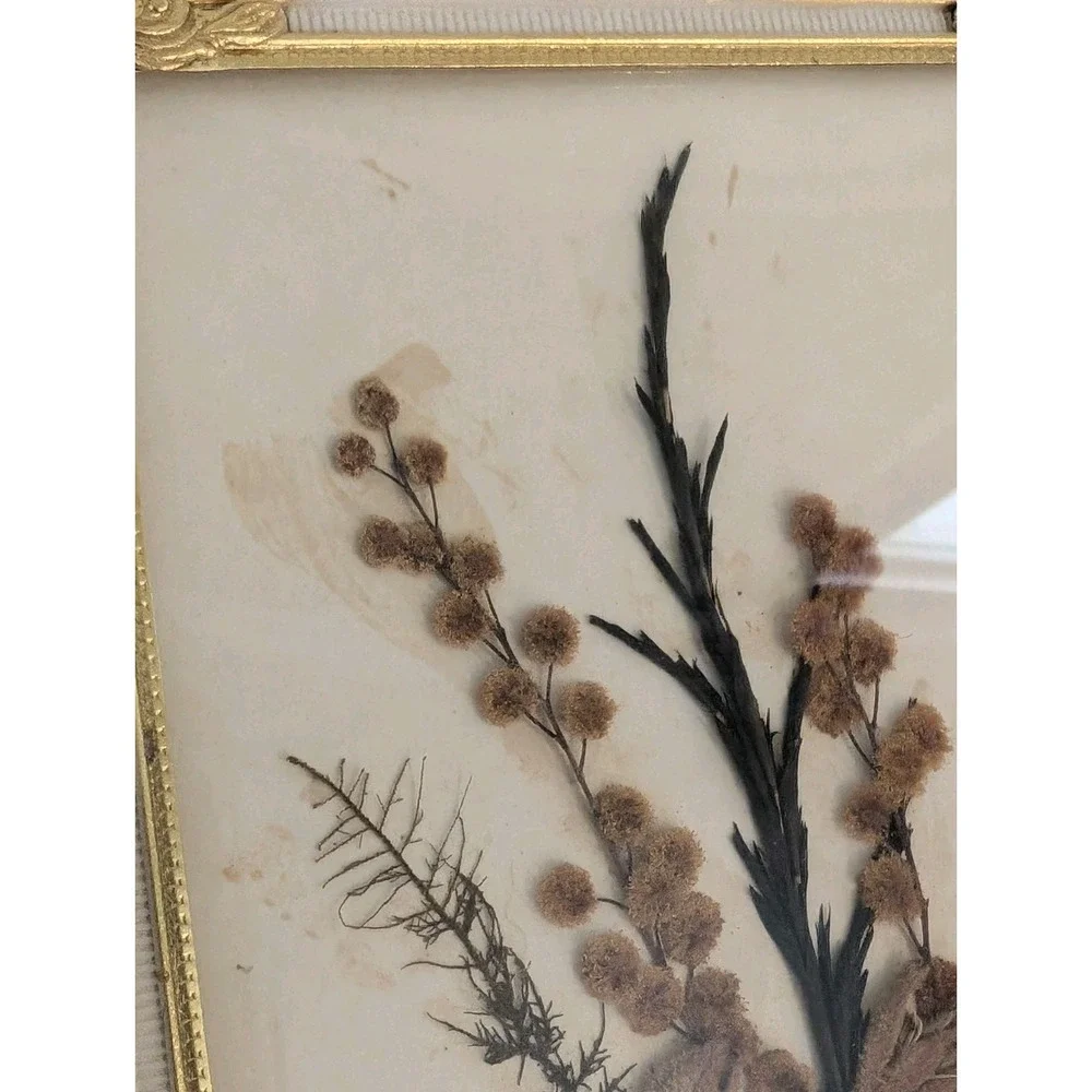 Vtg Framed Floral Dried Flower Picture Art Wall Hanging Signed Stella Turner