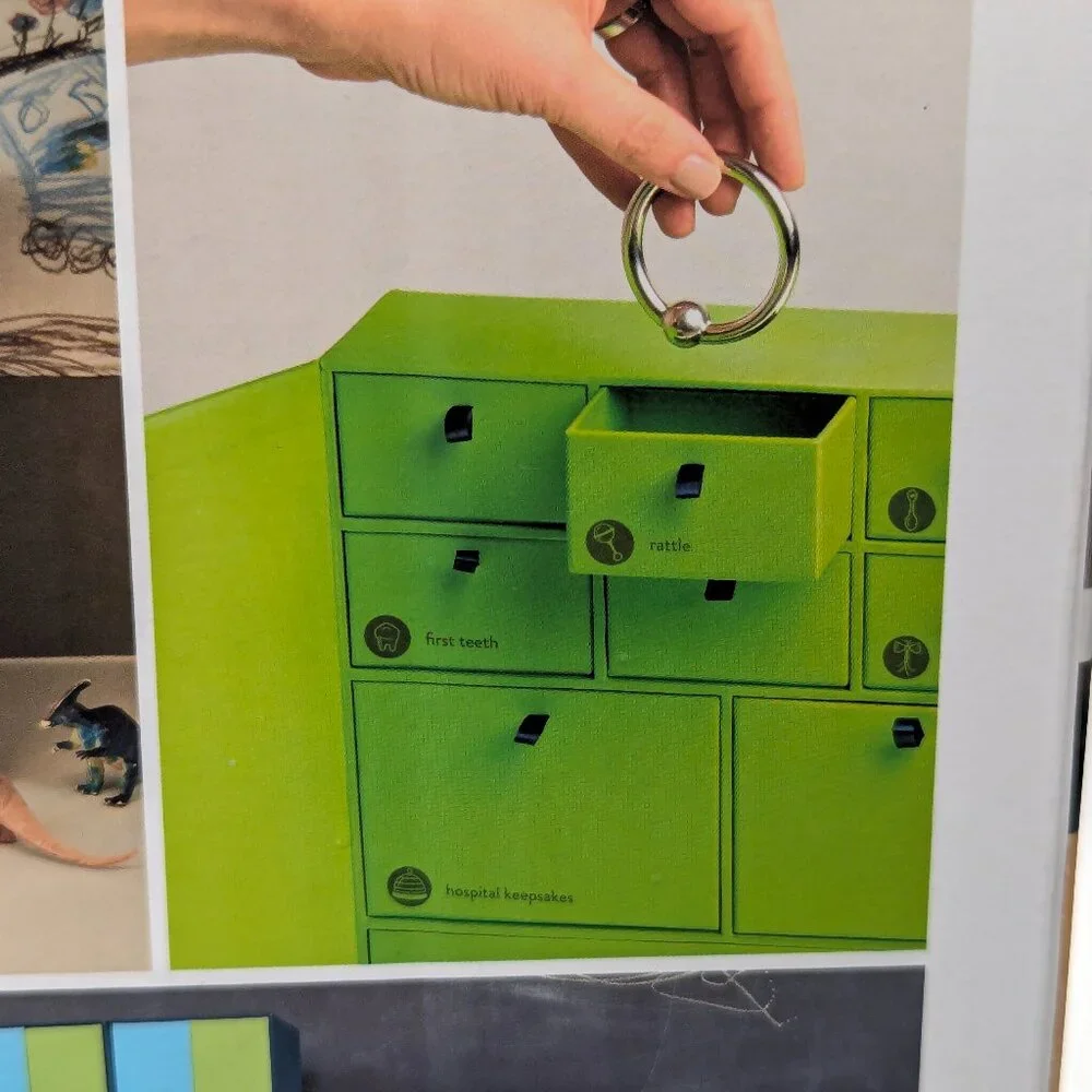 Crate&Barrel savor baby