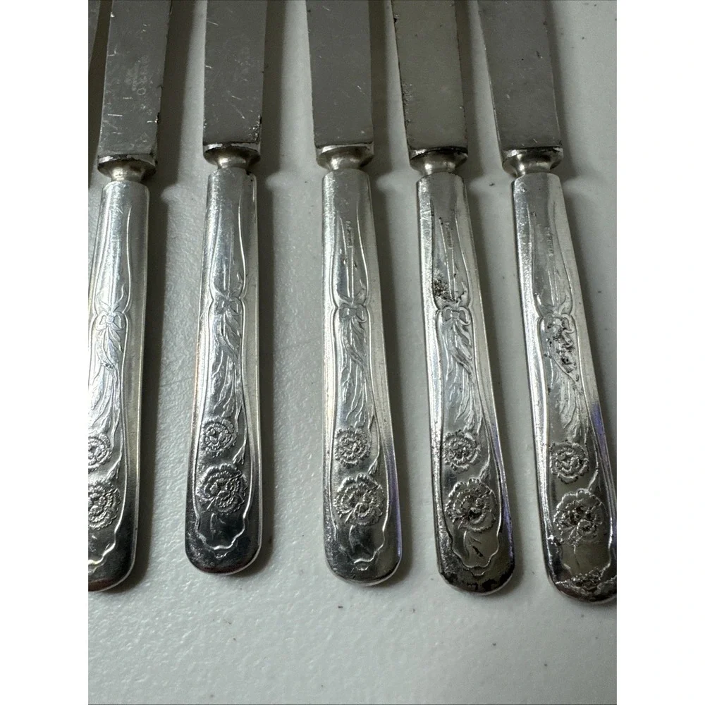 Oneida silver carnation