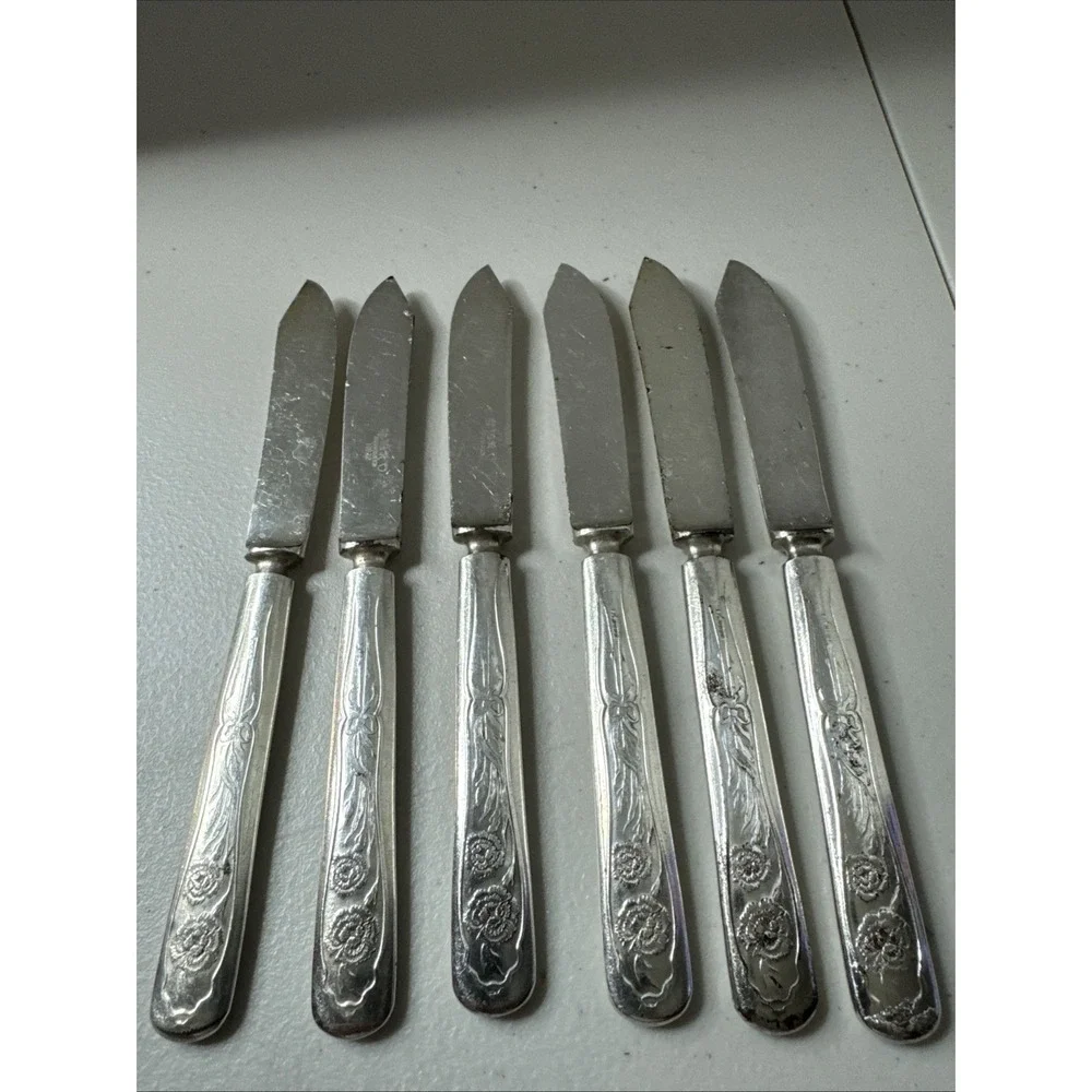 Oneida Silver Carnation Fruit Knife Silverplate Flaws