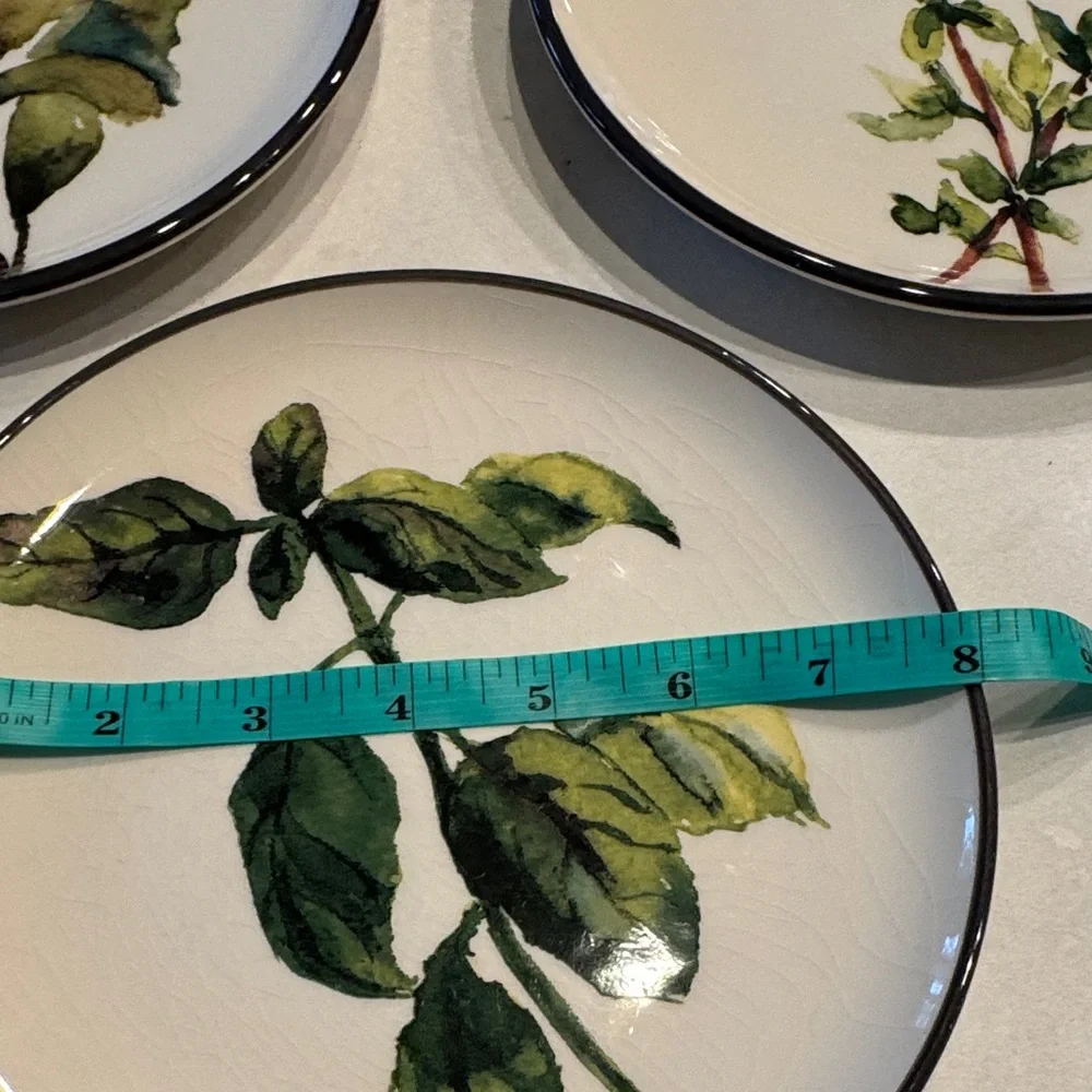 Crate&Barrel Botanical Dinnerware Set - Cream and Green 1 plate has small chips