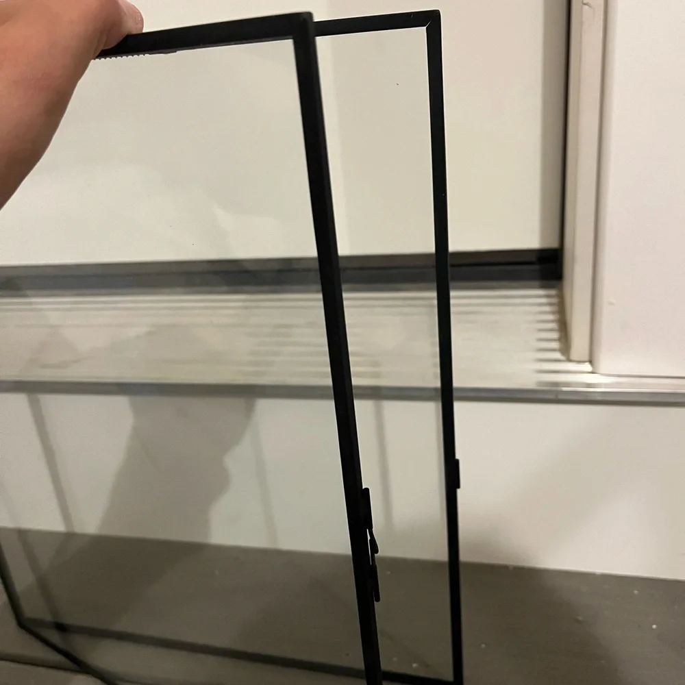 Black Floating Frames - West Elm