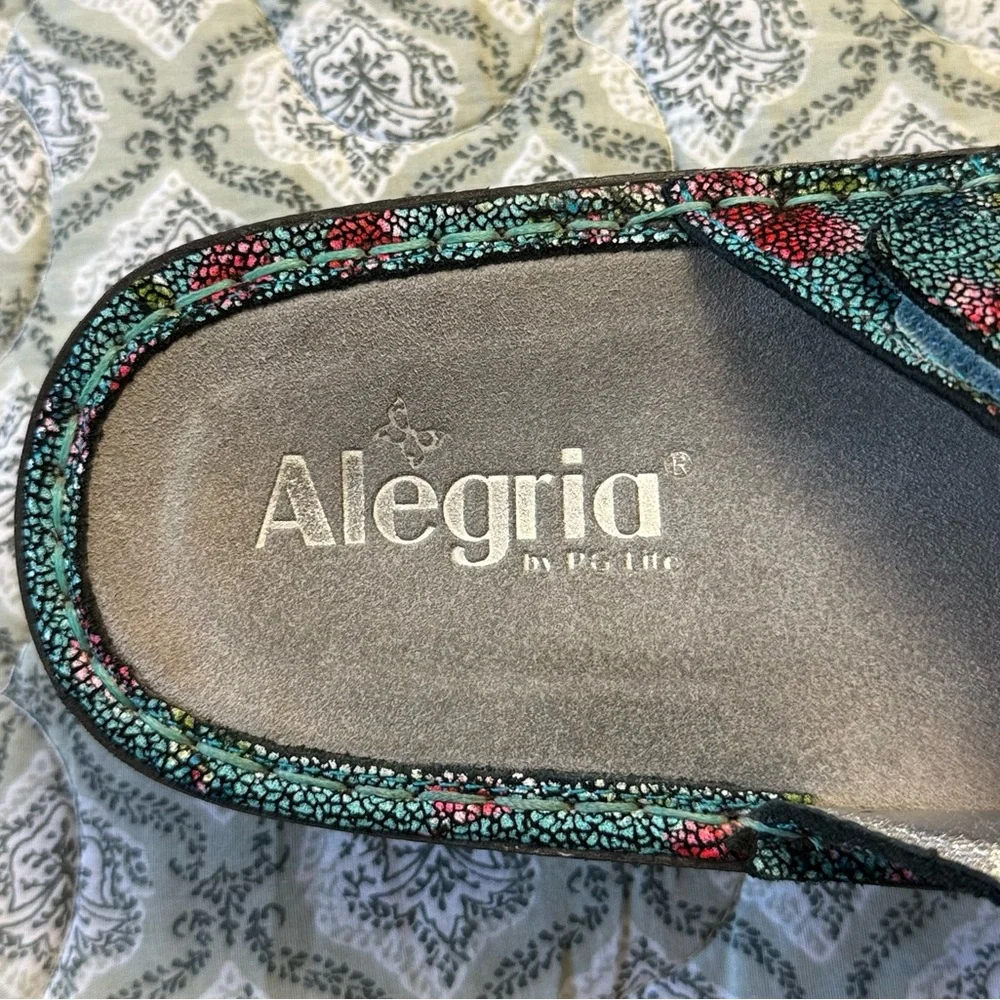 Alegria experience perfect