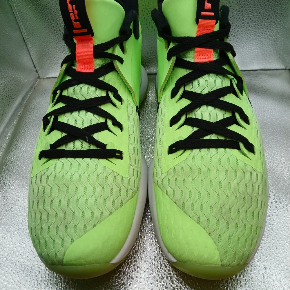 Nike Lebron step up